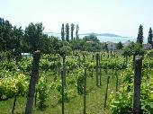 Balaton Balaton